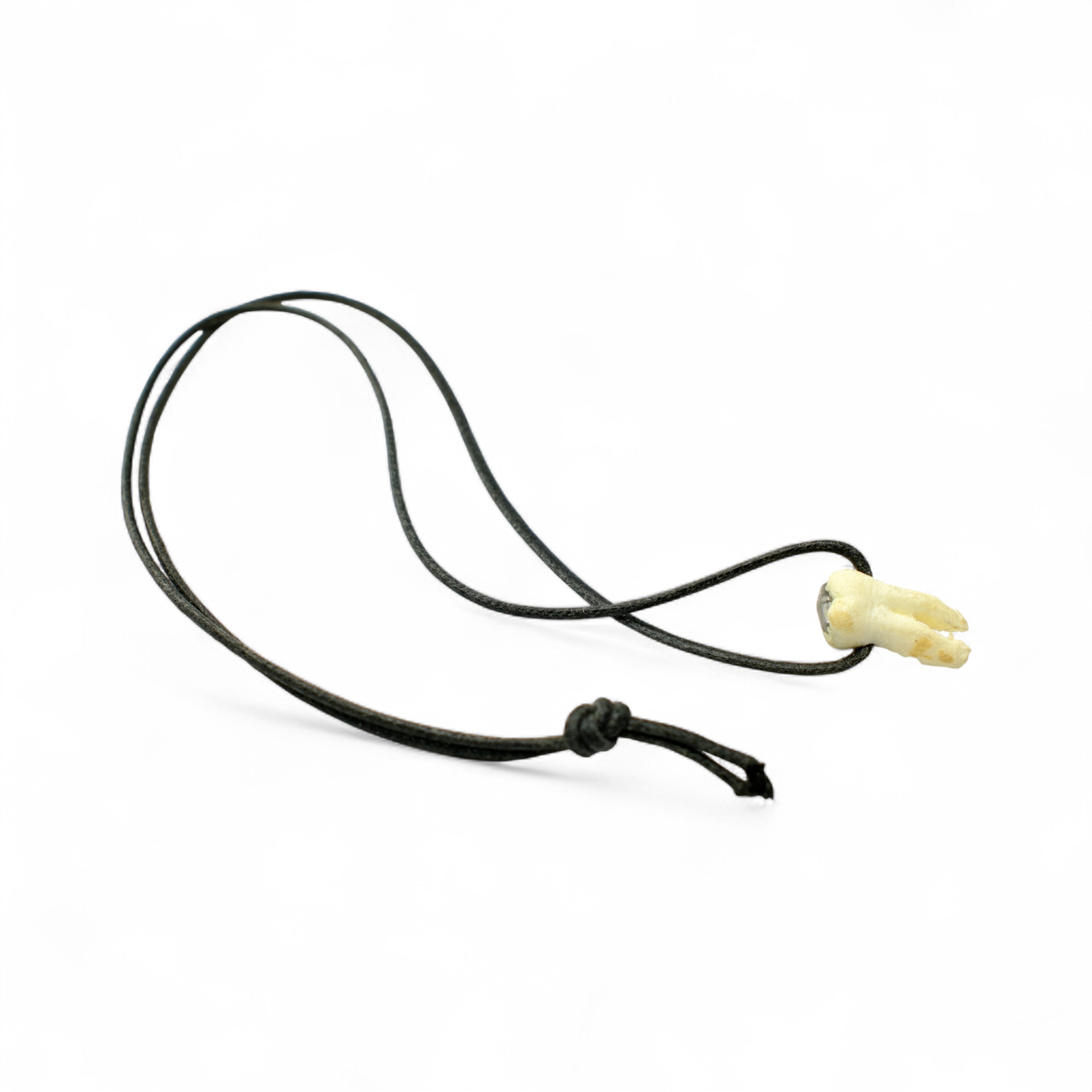 Necklace with Tooth Pendant – The Girl with the Dragon Tattoo (2011)