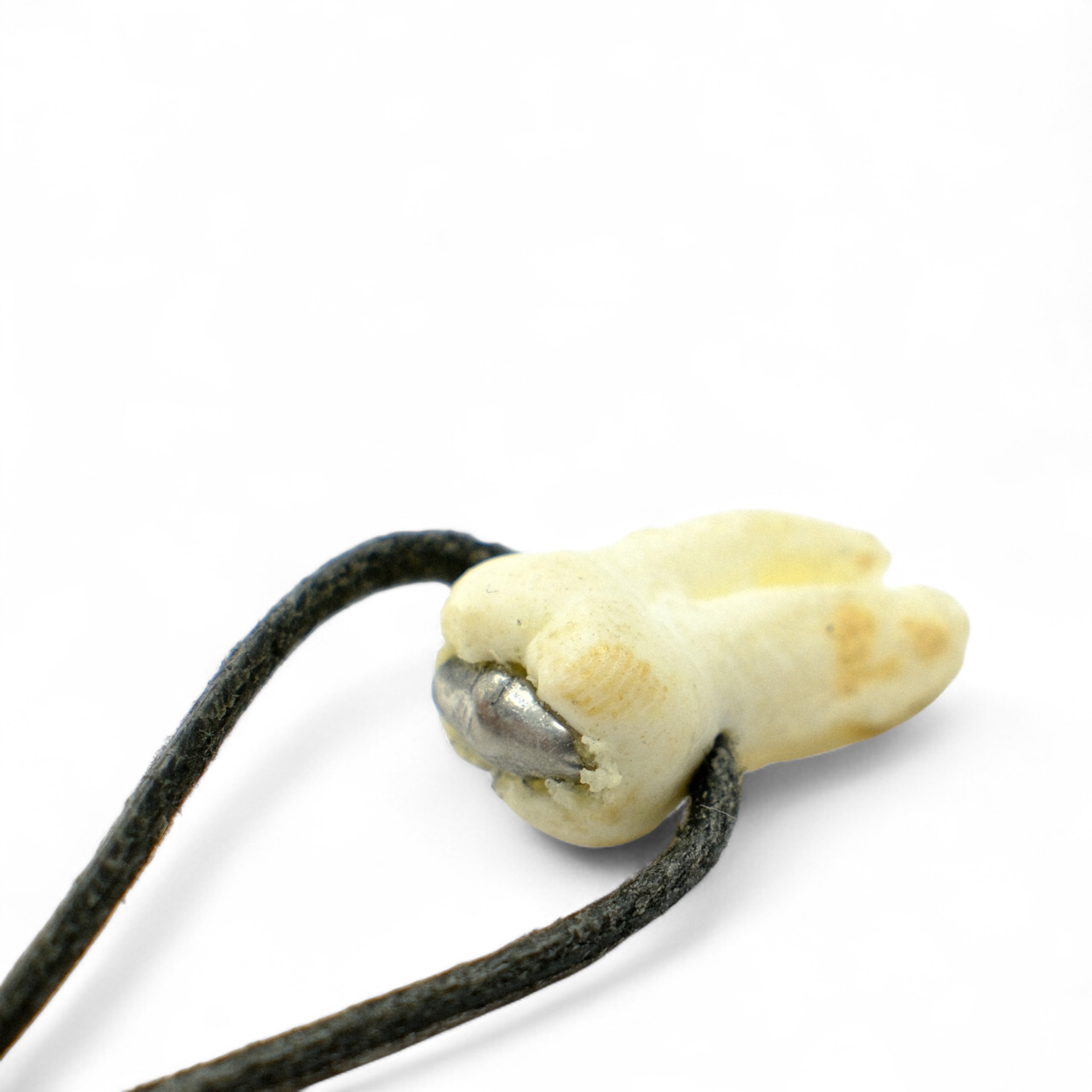 Necklace with Tooth Pendant – The Girl with the Dragon Tattoo (2011)